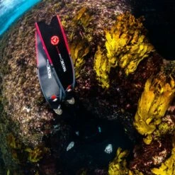 Palmes Seac Motus Camo Carbon -BEUCHAT vente palmes seac motus camo carbon 3